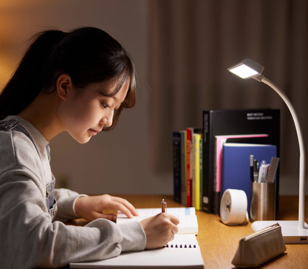 High school student reviewing information about SAT, ACT, and PSAT tutoring.